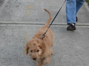 Staying the course, one moment at a time...