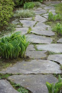 Consciously embracing our path...