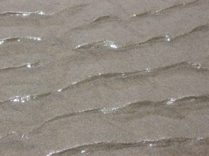 the ride that lasts...