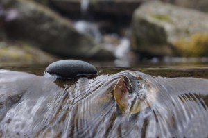 A journey that includes Form and the Formless...