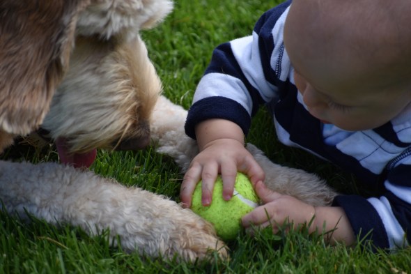 CBC50649-F9F0-4CF9-A7E9-884BEB4EA367